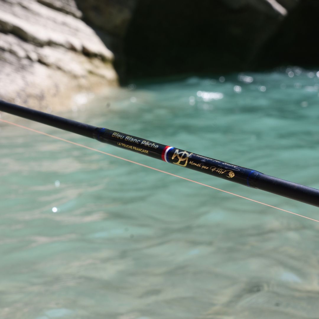 CANNES BATONS et EPUISETTES