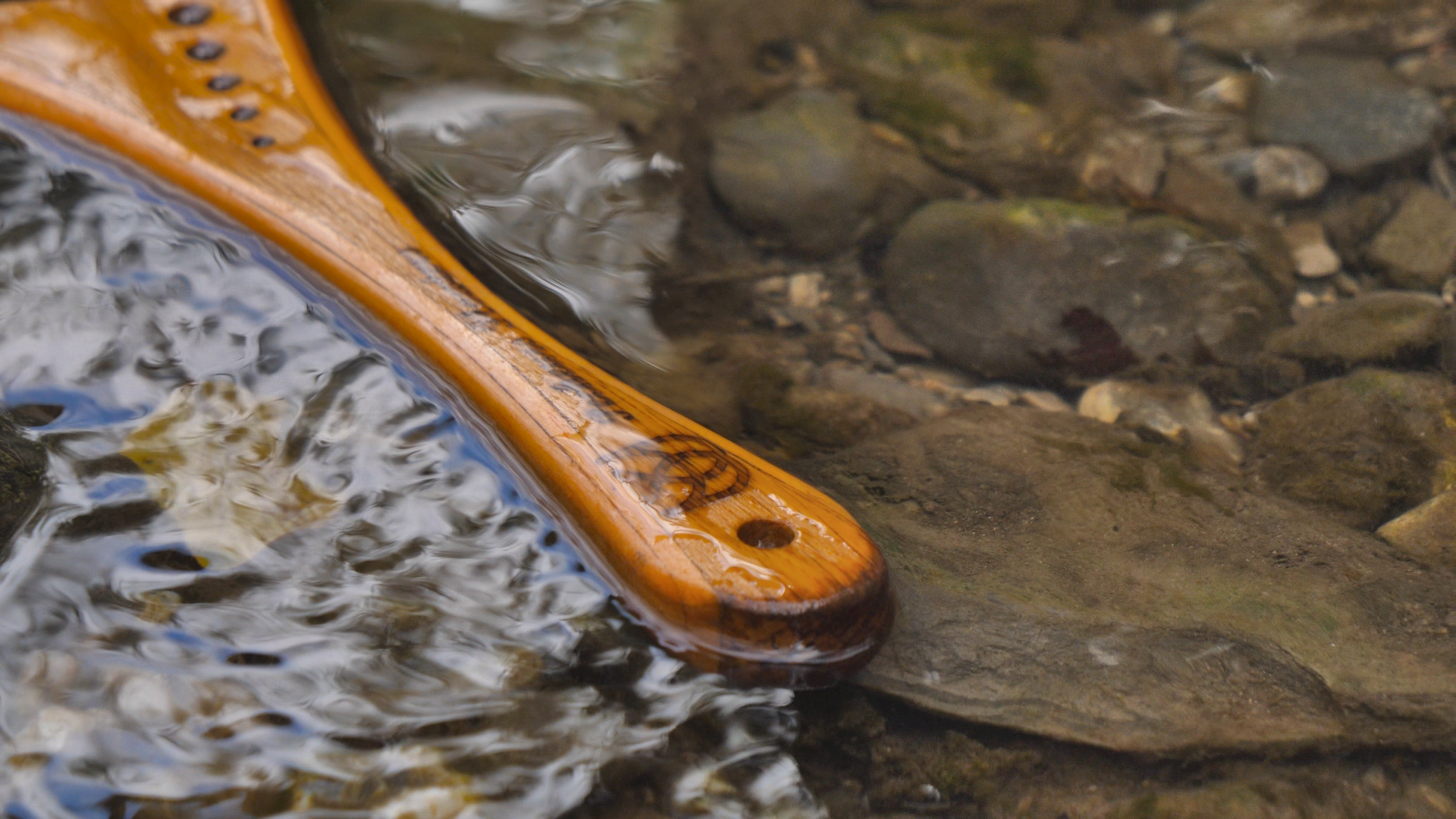 CANNES, BATONS et EPUISETTES