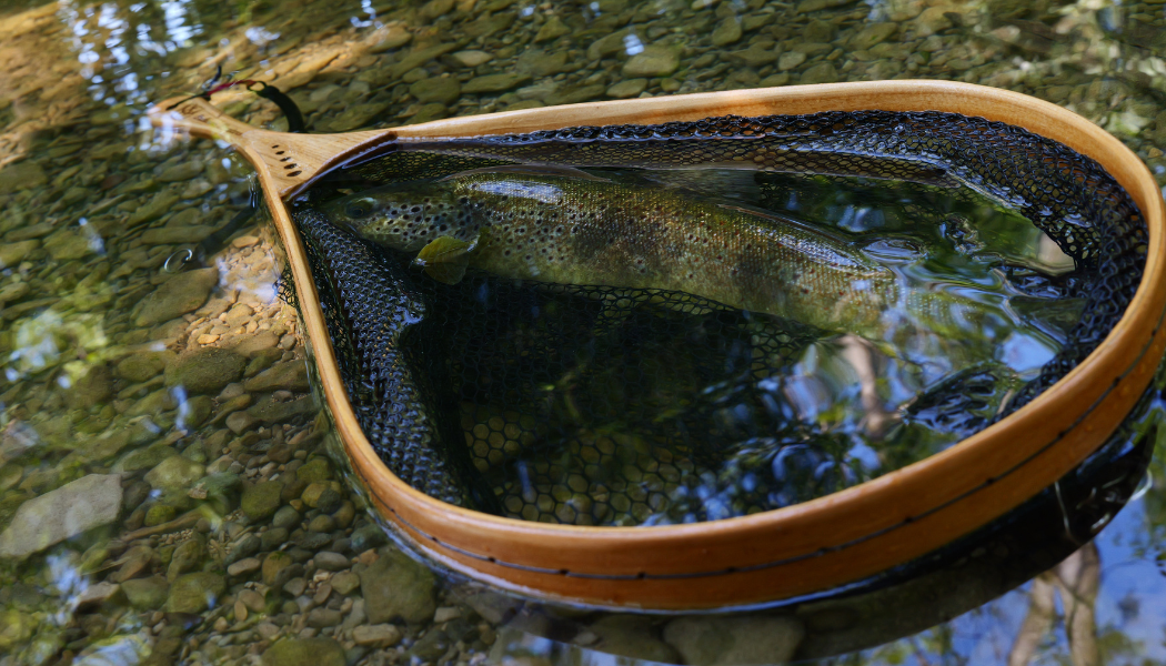 AUTRES MATERIEL DE PÊCHE