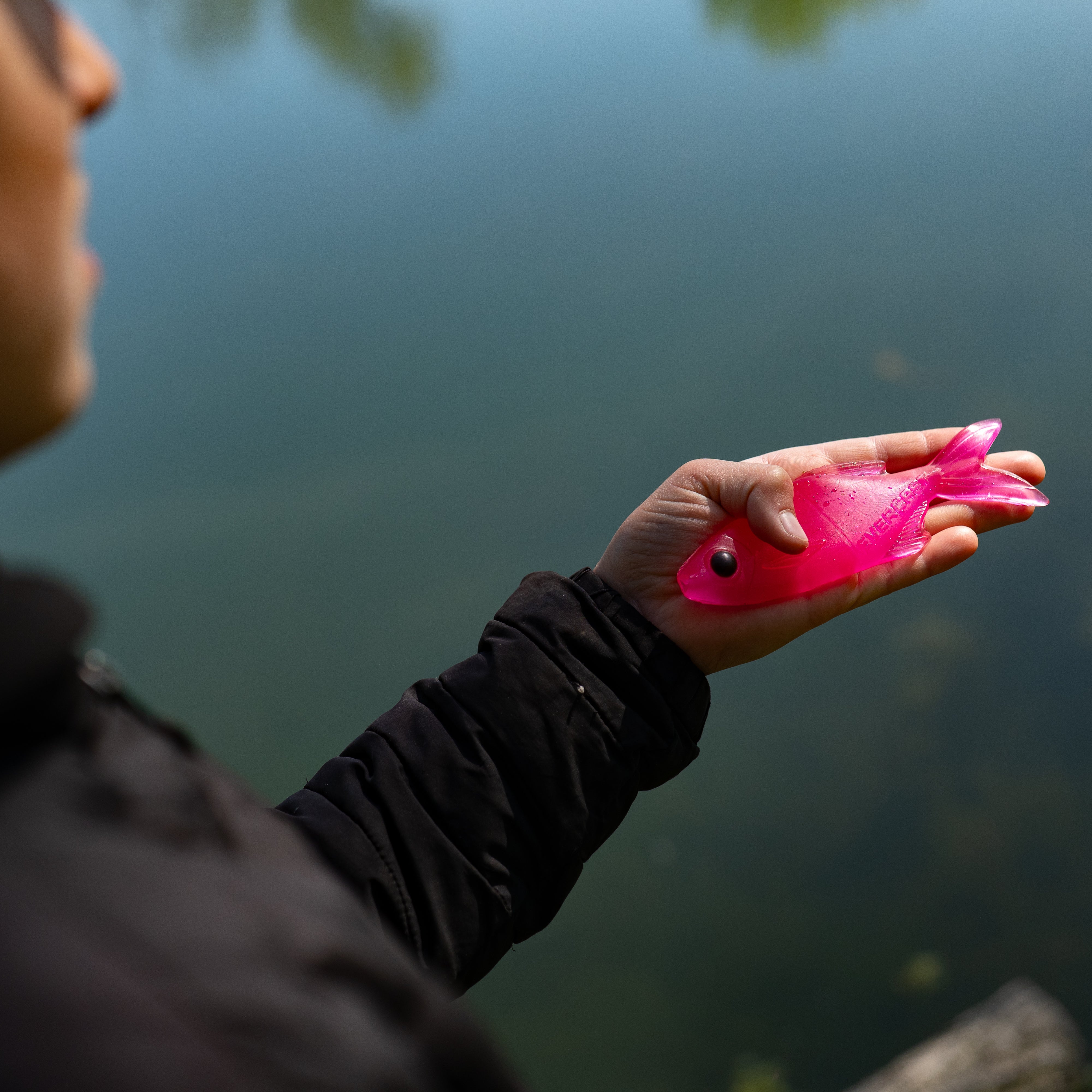 Pêche des CARNASSIERS aux leurres