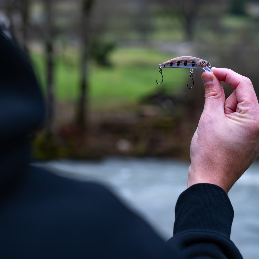 Poisson nageur "LE MINOT 55"