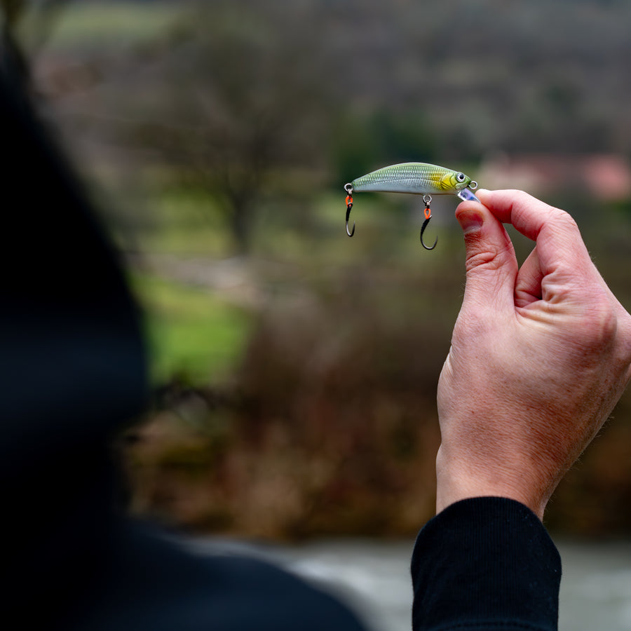 Poisson nageur "LE MINOT 55"