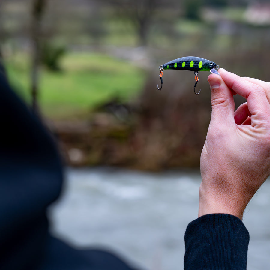 Poisson nageur "LE MINOT 55"