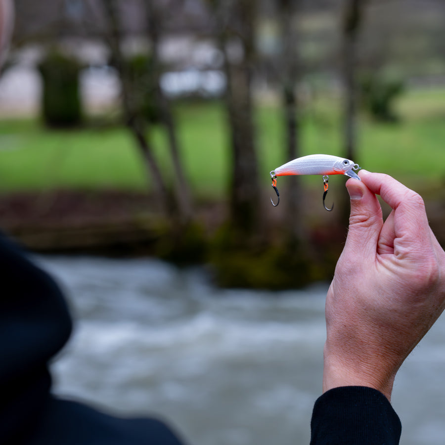 Poisson nageur "LE MINOT 55"