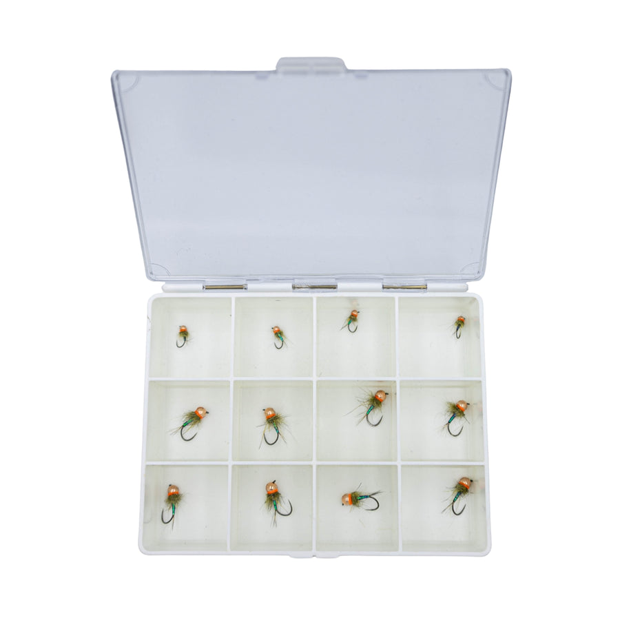 Boite plastiques + 12 Emeraudes