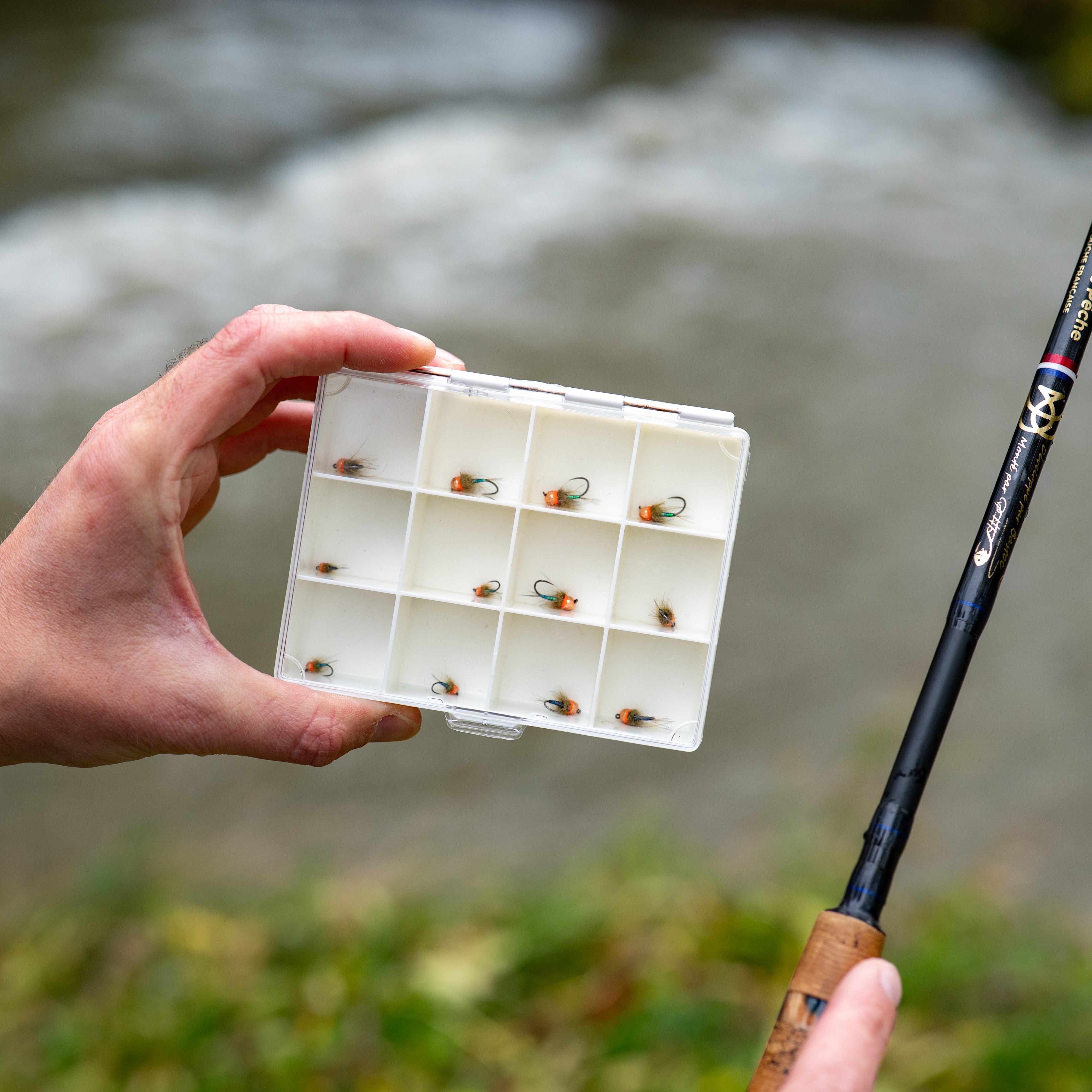 Boite plastiques + 12 Emeraudes