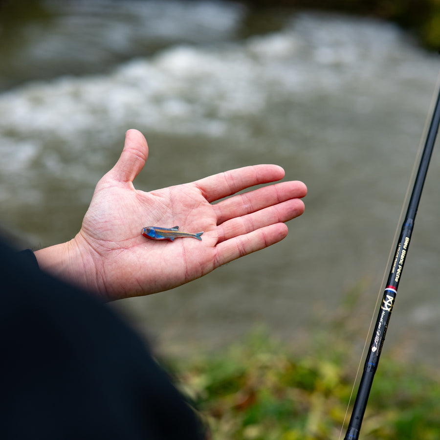 Leurre pour la truite <br> "Le Vairona" (x2)