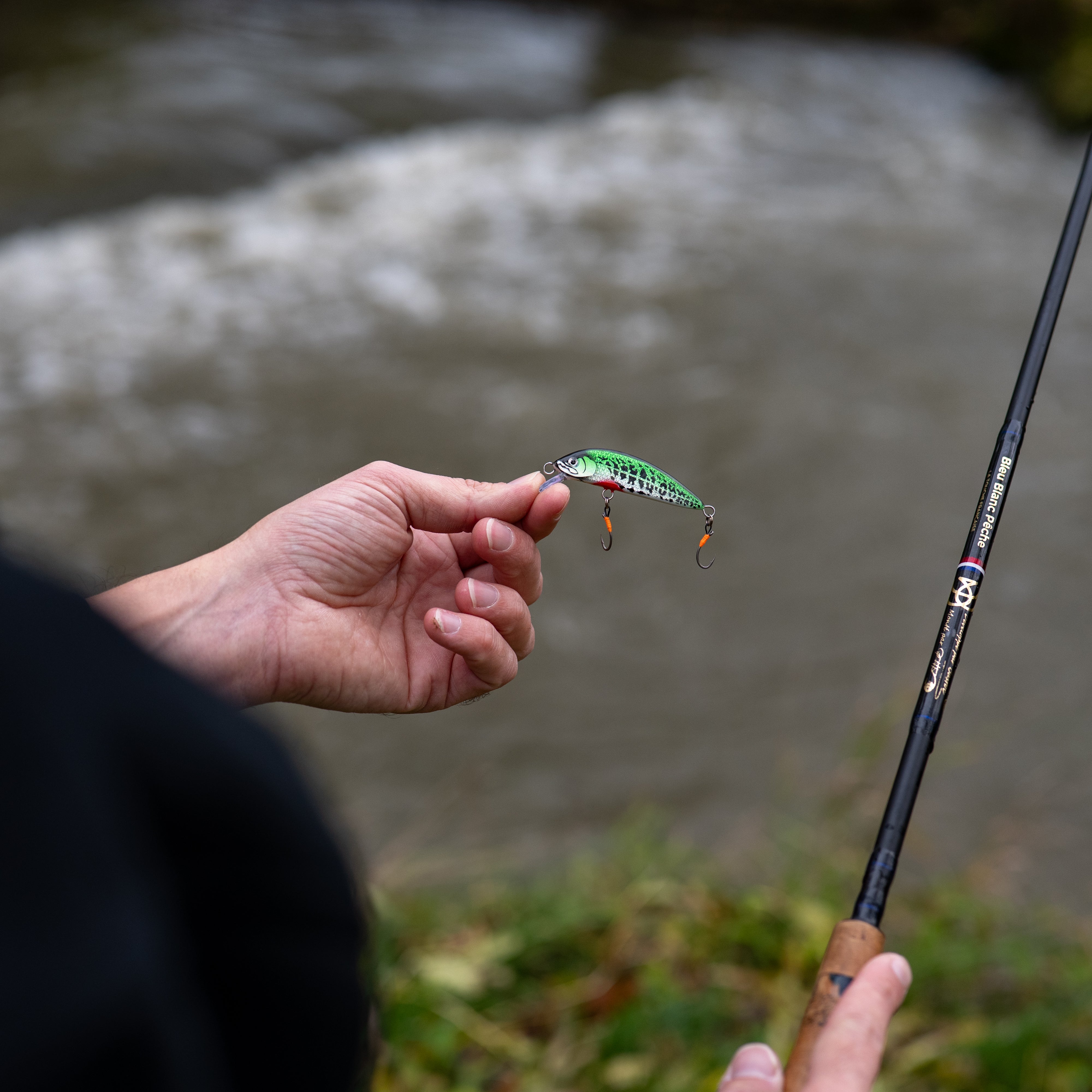 Poisson nageur <br> "le Vaironimo"