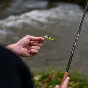 Poisson nageur <br> "Le Farioso"