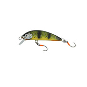 Poisson nageur <br> "Le Farioso"