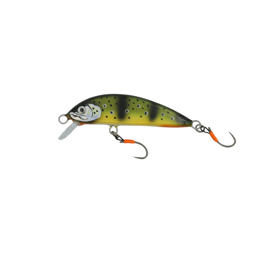 Poisson nageur <br> "Le Farioso"