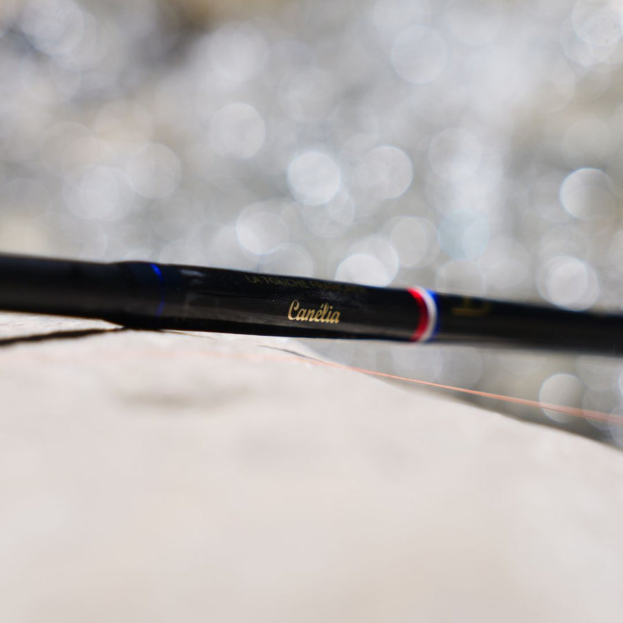 Canne au TOC <br>"La Canélia"