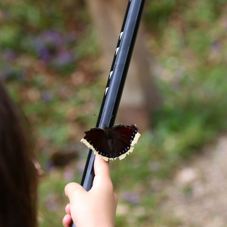 BATON de MARCHE et de PÊCHE <br> "Le Sentenois"