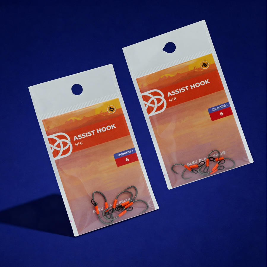 Hameçons ASSIST HOOK (x6)