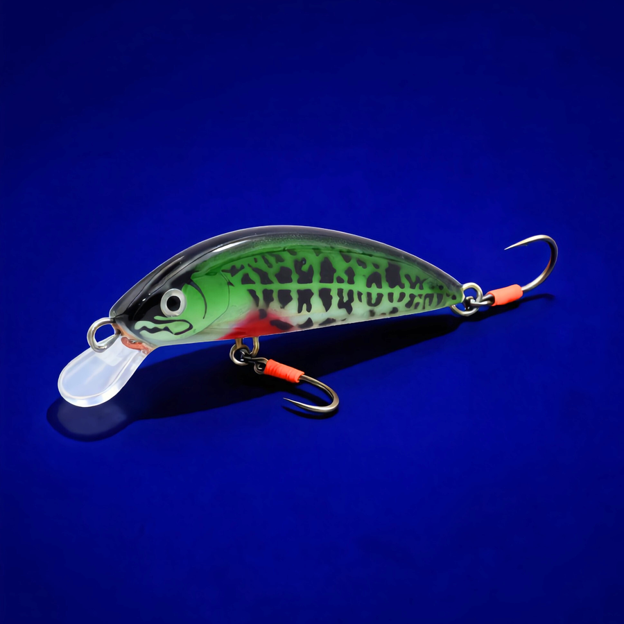 Poisson nageur <br> "le Vaironimo"