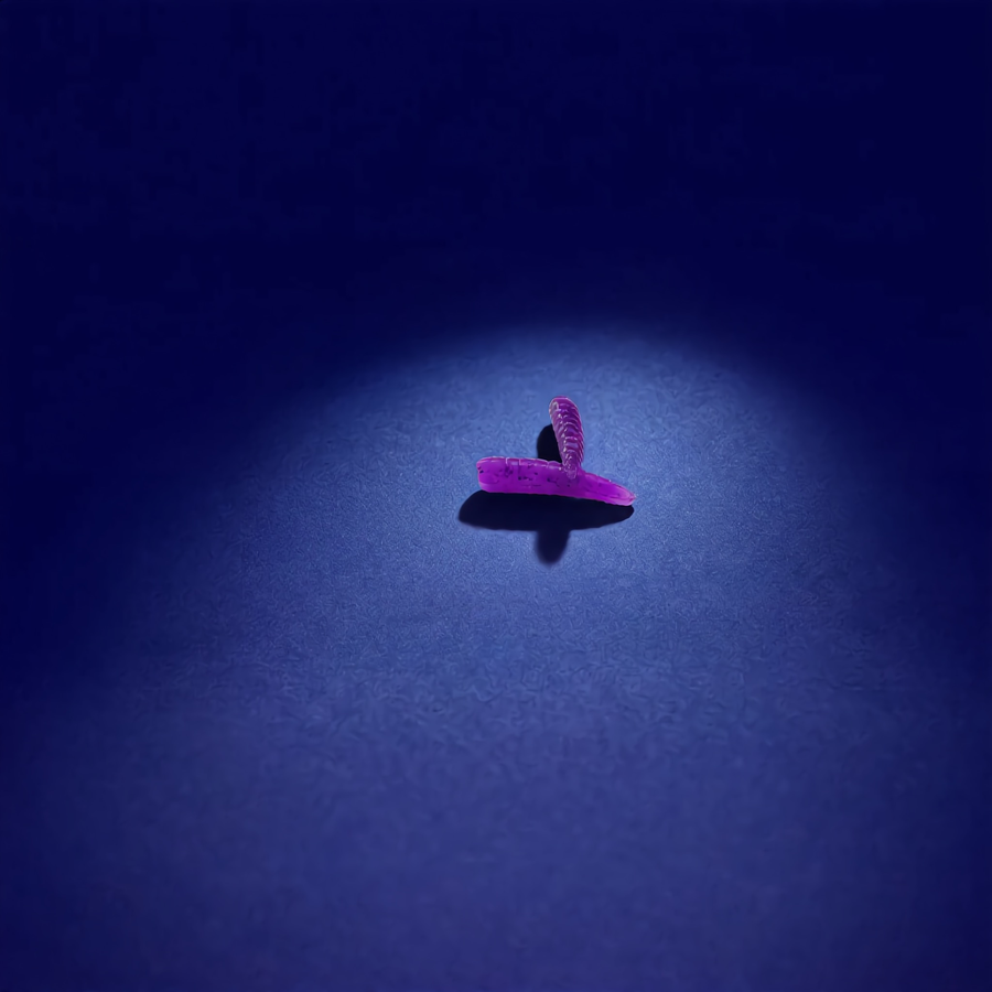 Larve le Wood-rack (x20)