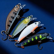 Poisson nageur "LE MINOT 55"