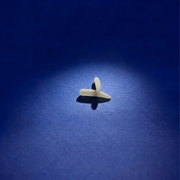 Larve le Wood-rack (x20)