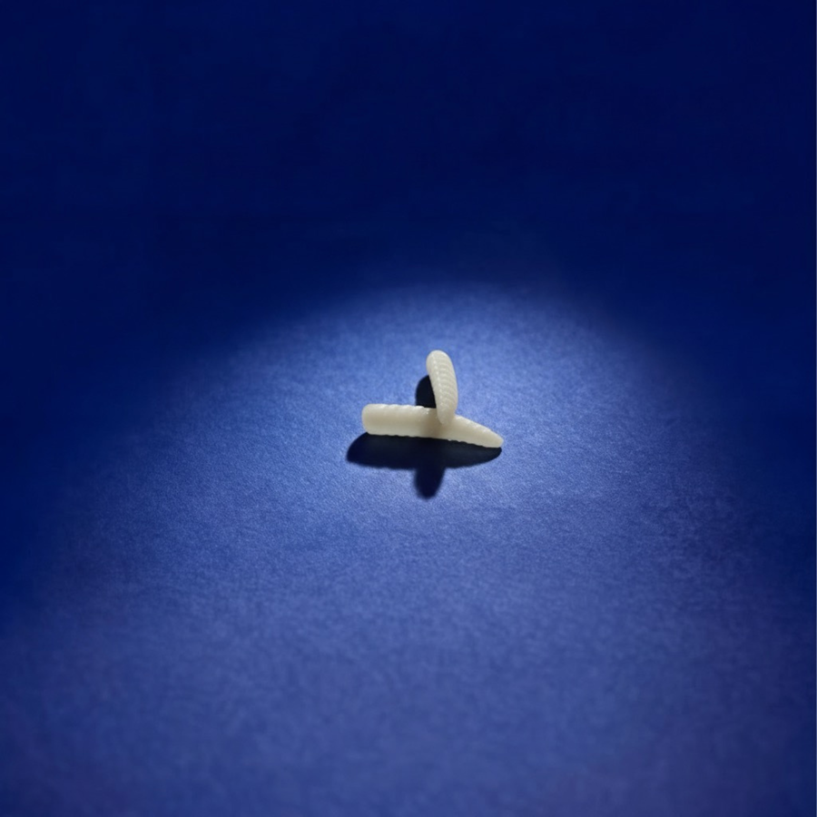 Larve le Wood-rack (x20)