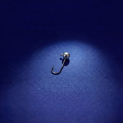 Têtes plombées 2g (brutes)