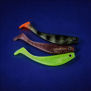 SHAD 6 pouces (x3)